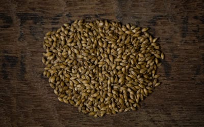 Our Scottish Ale Malt