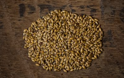 An Introduction to our Peated Malts