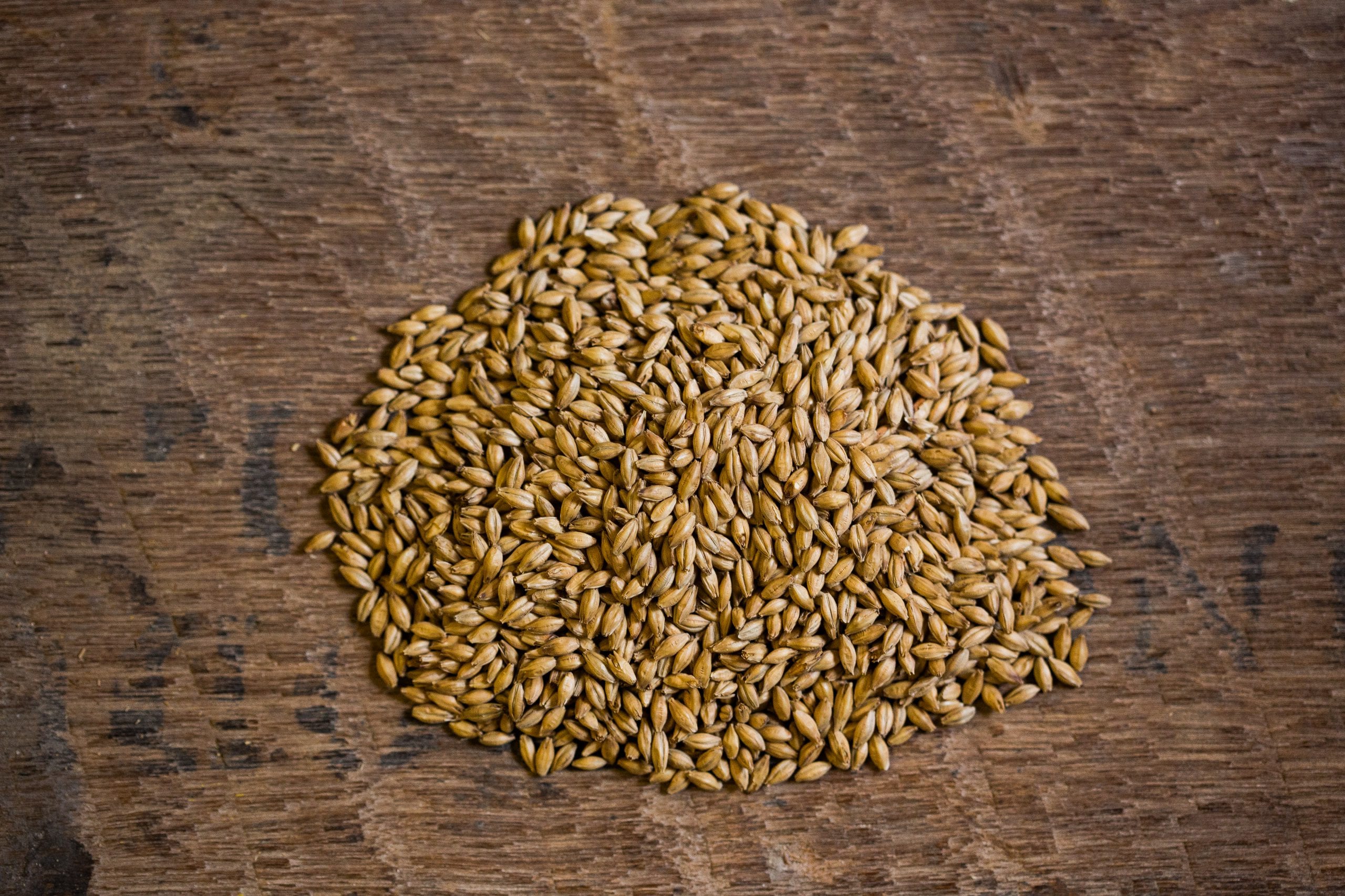 Maris Otter Finest Ale Malt Bairds Malt