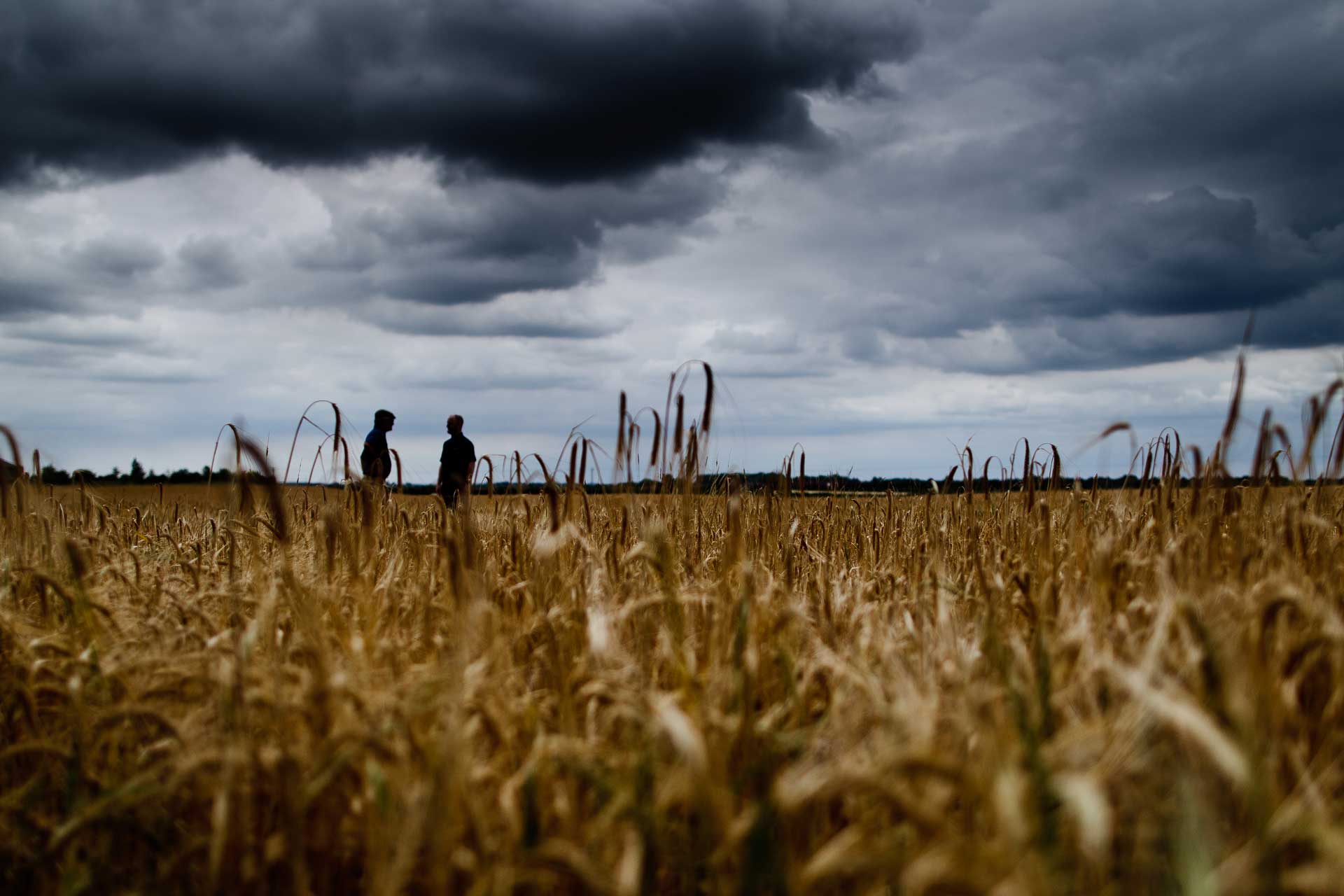 Introducing SAI Platform Bairds Malt