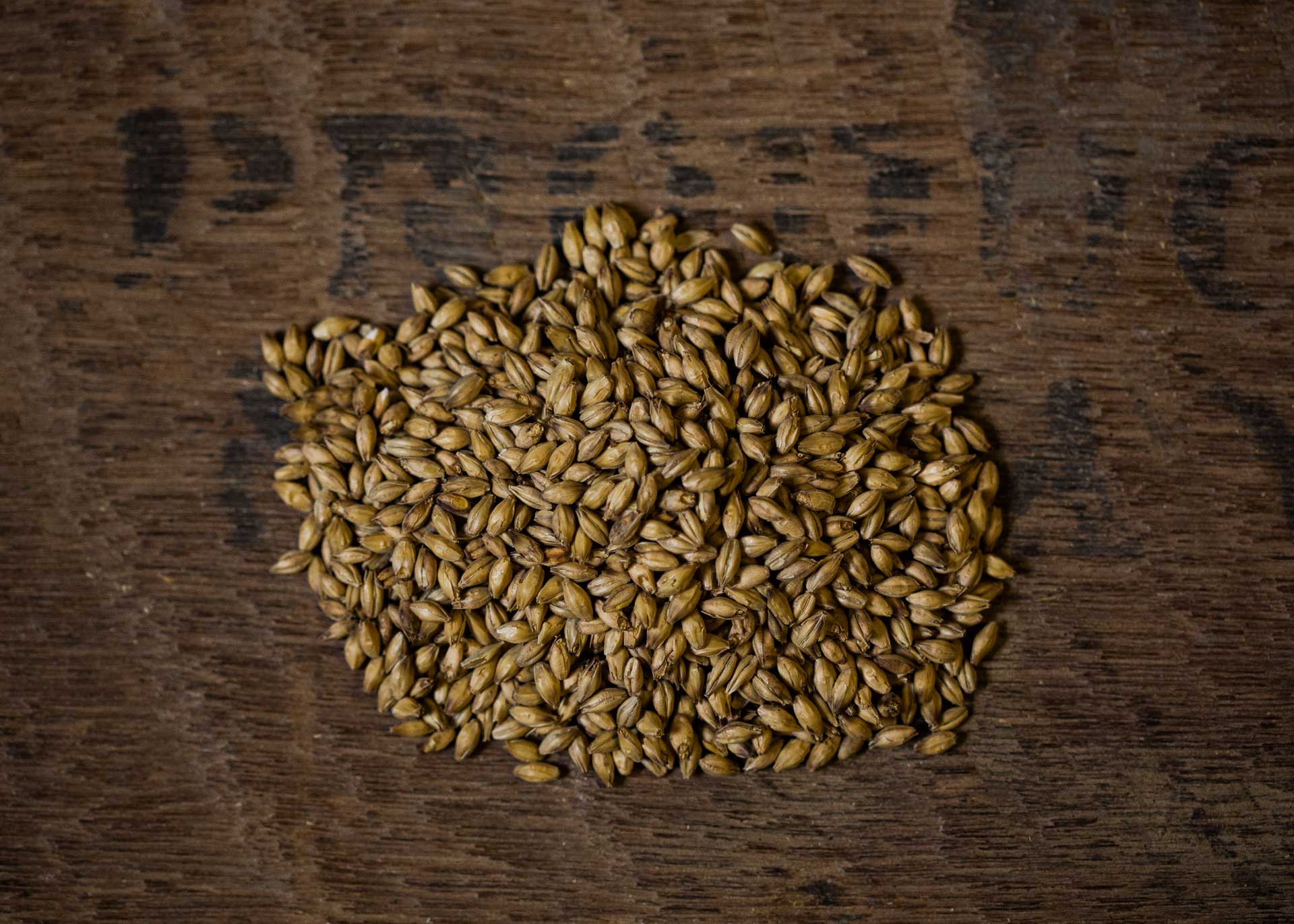 Extra Pale Ale malt Bairds Malt